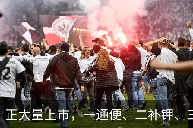 正大量上市，一通便、二补钾、三控糖、四护血管，建议大家多吃。